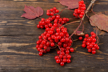 Composition of guelder-rose and autumn leaves on wooden background