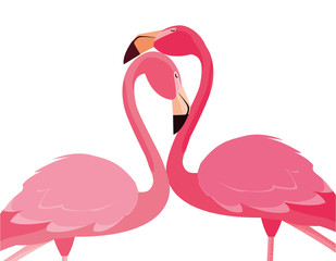 elegant flamingo birds couple