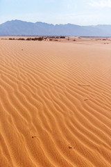 Sand Dune. Wadi Araba desert. Jordan