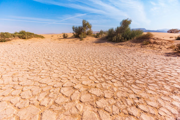 Cracked soil. Wadi Araba desert. Jordan