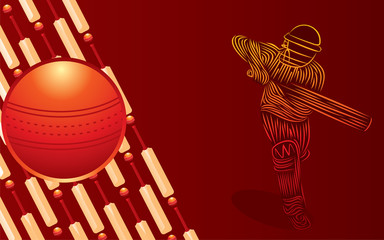 playing cricket sports poster