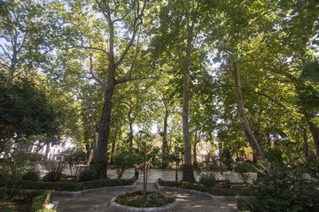 Park in Ronda on October 9, 2017 Andalusia Spain