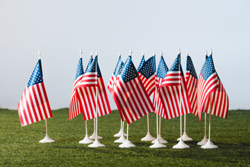 american flags with stars and stripes on green grass isolated on grey