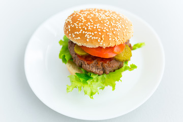Homemade hamburger on the plate