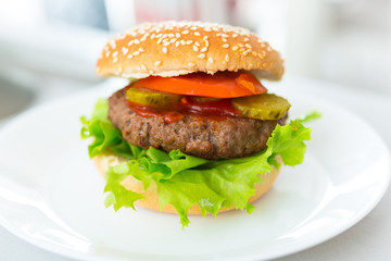 Homemade hamburger on the plate