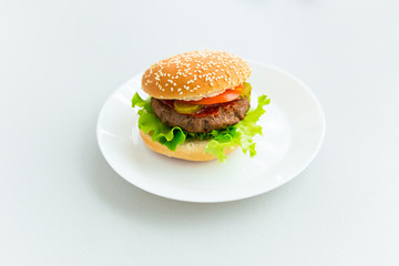 Homemade hamburger on the plate