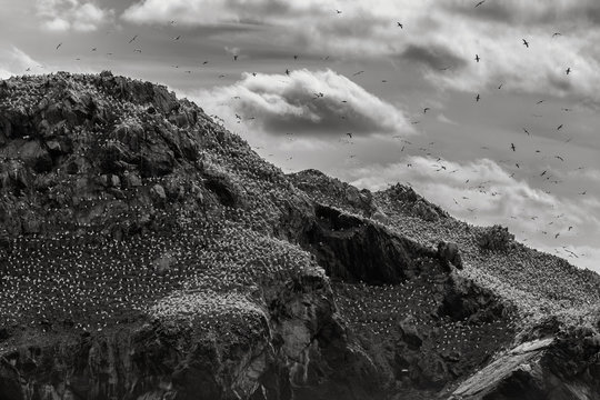 Felsen Bretagne Granitk&uuml;ste