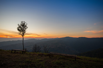 Fototapeta na wymiar Sunset or sunrise on viewpoint hill mountain yellow and blue sky with tree and bamboo bench