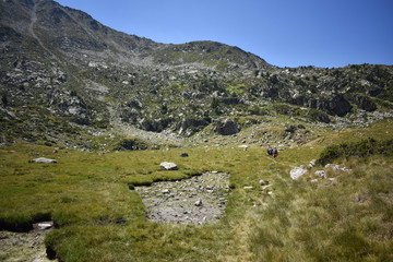 A beautiful landscape near the lake in El Cubil Petit (Encamp), Andorra