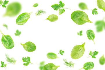 Flying  spinach, parsley and dill leaves over white background - Image.