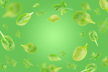 Fototapeta na wymiar Flying spinach, parsley and dill leaves over green background - Image.