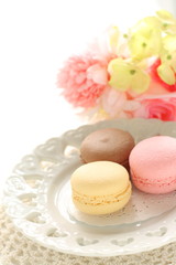 Homemade macaroon for elegant confectionery image