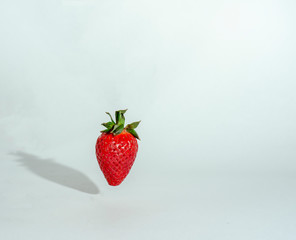  fresh strawberries. white background. crop 2019. one or several