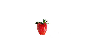  fresh strawberries. white background. crop 2019. one or several