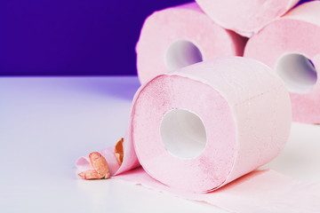 toilet paper rolls with natural flowers close up