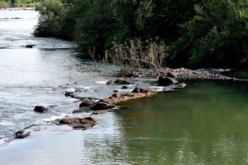 IGUAZU (rio, naturaleza, animales, insectos, cascadas)