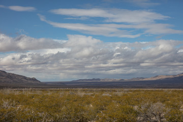 Obraz premium wilderness in New mexico