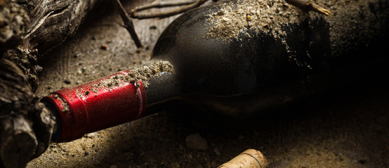 Grand vin dans une cave