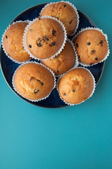 Chocolate Drops Muffins. Delicious sweet dessert. Sweetness to tea. Homemade baking. Treats for children. Popular cupcake.