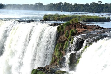 IGUAZU (naturaleza, aves, mamiferos, insectos, cascadas)