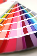 colorful palette isolated on white background