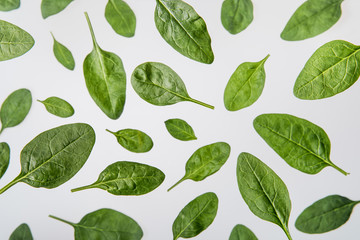fresh green spinach leaves on grey background