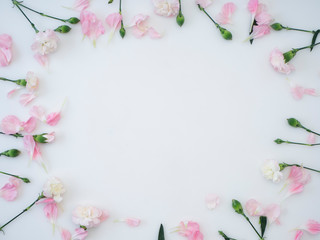 Frame made of carnation on a white background