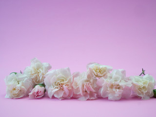 Mother's day greeting card, Beautiful pink carnation