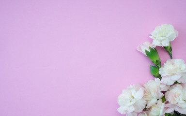 Fototapeta na wymiar Mother's day greeting card, Beautiful pink carnation