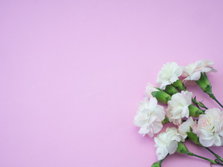 Mother's day greeting card, Beautiful pink carnation