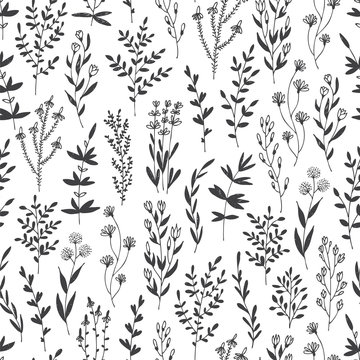 Hand drawn vector seamless pattern with floral elements, herbs, leaves, flowers, twigs, branches