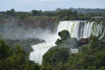 Fototapeta premium IGUAZU (naturaleza, cascadas, aves, mamiferos, insectos)