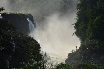 IGUAZU (naturaleza, cascadas, indectos aves)