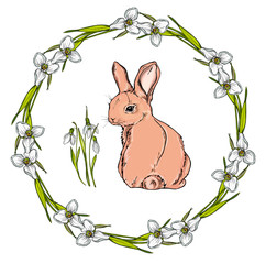 Vector isolated cartoon hare.