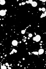 Black and White Ink Splatters and Spill 