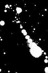 Black and White Ink Splatters and Spill 