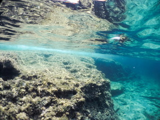 Underwater image in Formentera Balearics Spain