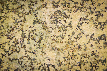 old rusty metal background / yellow brown rustic iron plate patina stains texture