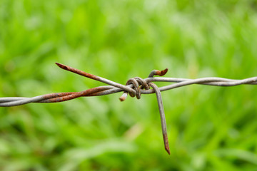 Old barbed wire fence with rust on green nature background