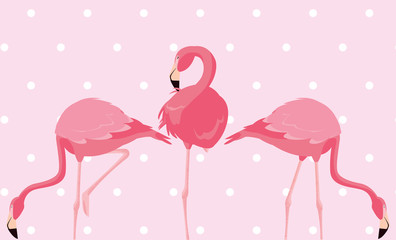 flock of elegant flamingos birds dotted background