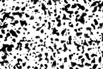 Black and White Ink Splatters and Spill 