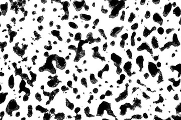 Black and White Ink Splatters and Spill 