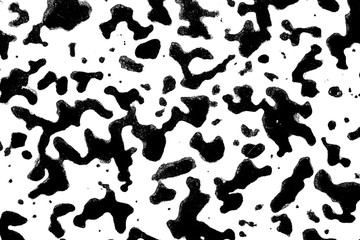 Black and White Ink Splatters and Spill 