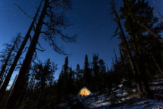 Acampada en un bosque de Montana, USA