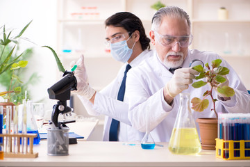 Two chemists working in the lab