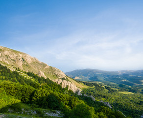 Fototapeta na wymiar mount slope above a green forest, natural landscape