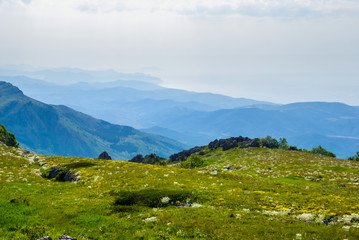 Fototapeta na wymiar green mountain plateau in a blue mist