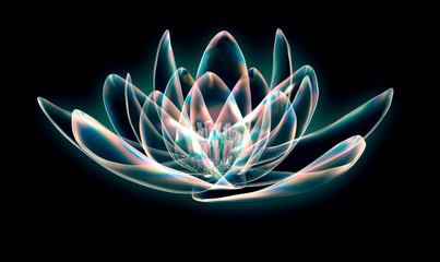 x-ray image of a flower  isolated on black, the lotus 3d illustration. - obrazy, fototapety, plakaty