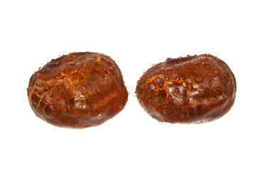 chestnut isolated on white background