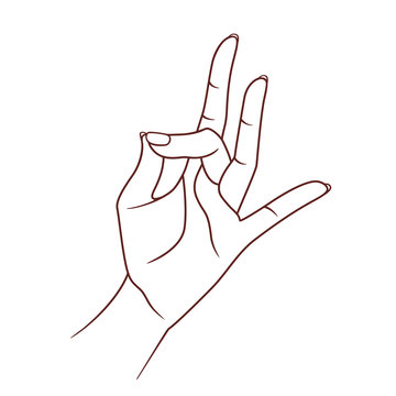 Shuni mudra. Yogic hand gesture. Vector. Isolated on white background